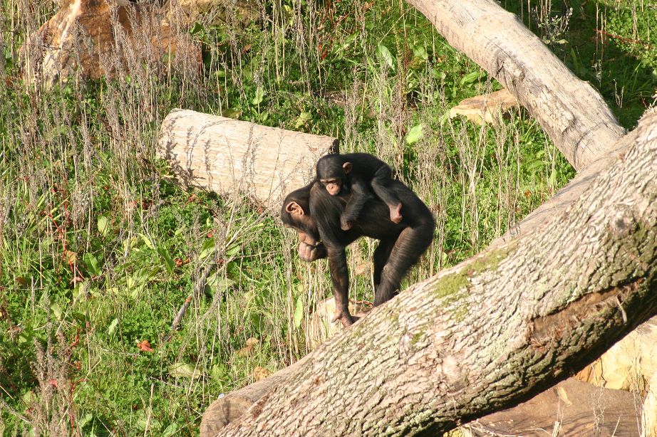 2011040701544728_k-Zoo & Jana 012.jpg